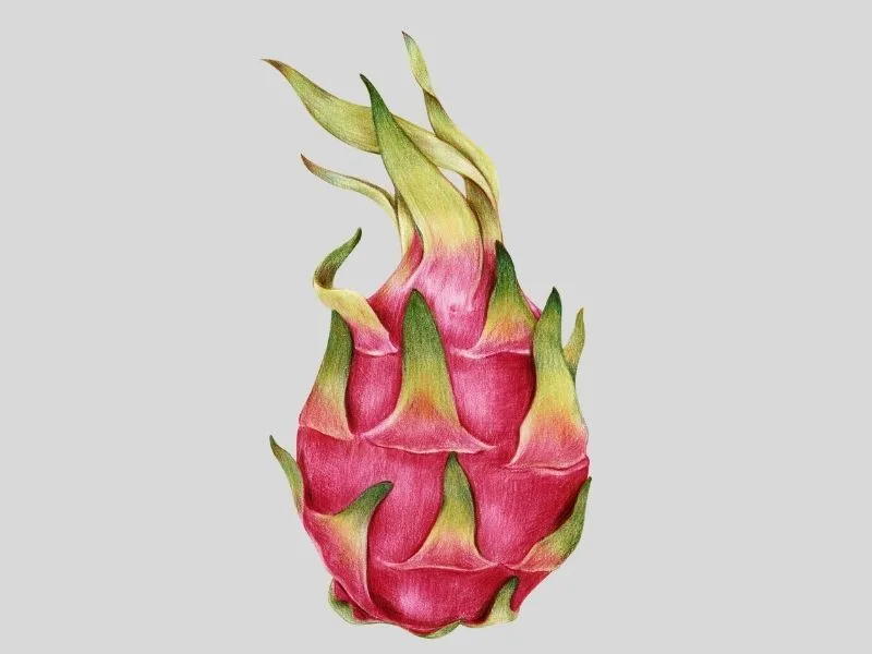 ড্রাগন ফল