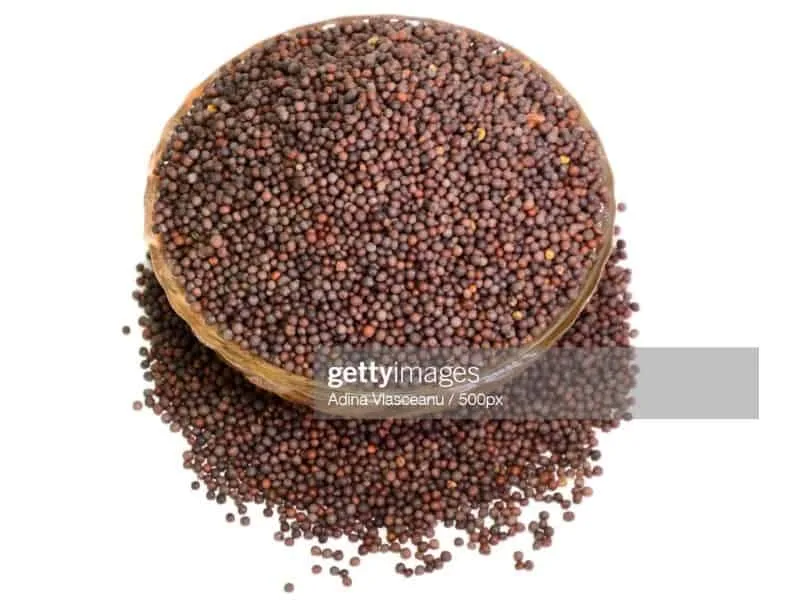 সরিষা বীজ