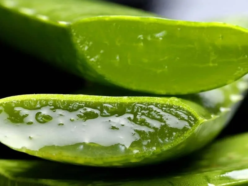 এলোভেরার জেল