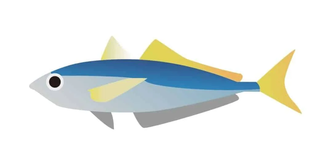 স্বপ্নে মাছ দেখলে কি হয়