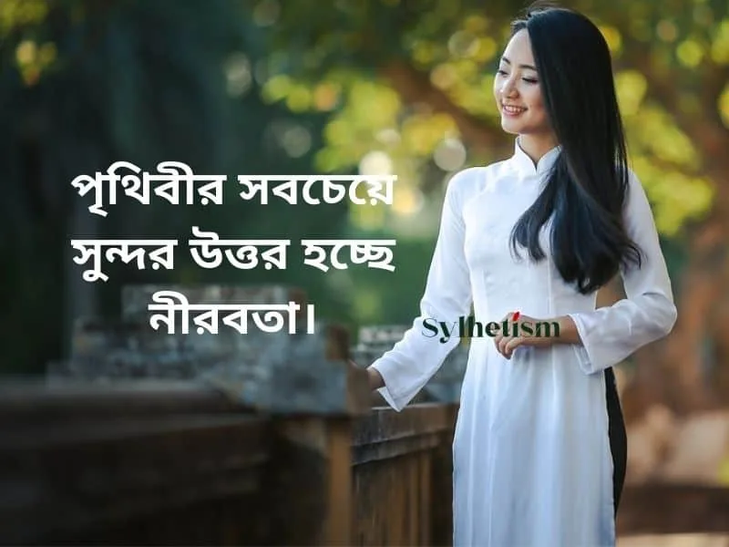 মজার ফেসবুক স্ট্যাটাস