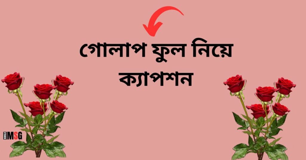 গোলাপ ফুল নিয়ে ক্যাপশন